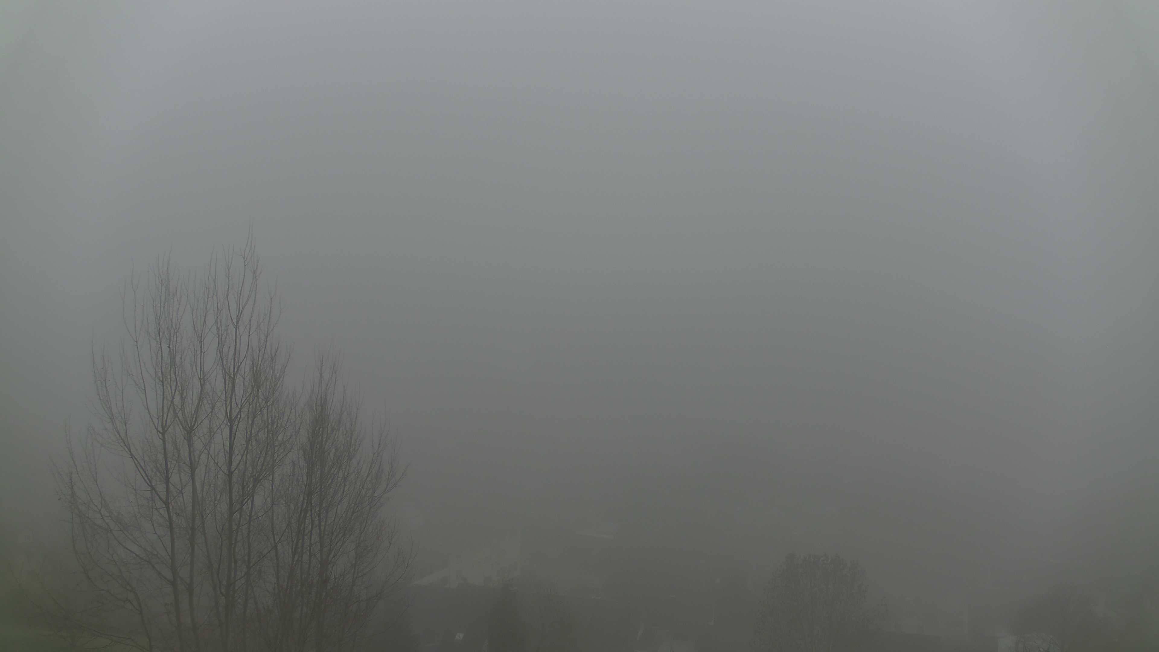 Zum Fotoarchiv vom Sonntag, 14. Dezember 2025