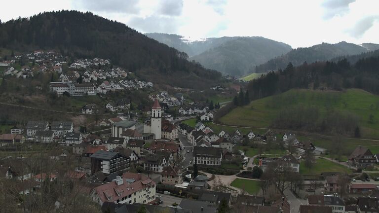 Dieses Bild zeigt eine Webcam-Aufnahme von Ottenhöfen, aufgenommen am Mittwoch, den 01.04.2026 um 11:50 Uhr