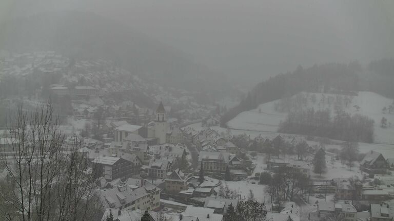 Dieses Bild zeigt eine Webcam-Aufnahme von Ottenhöfen, aufgenommen am Samstag, den 10.01.2026 um 11:50 Uhr