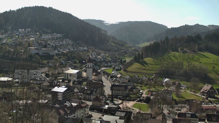 Dieses Bild zeigt eine Webcam-Aufnahme von Ottenhöfen, aufgenommen am Donnerstag, den 02.04.2026 um 11:50 Uhr