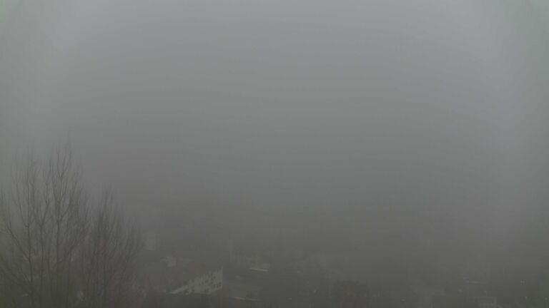 Dieses Bild zeigt eine Webcam-Aufnahme von Ottenhöfen, aufgenommen am Sonntag, den 08.02.2026 um 16:50 Uhr