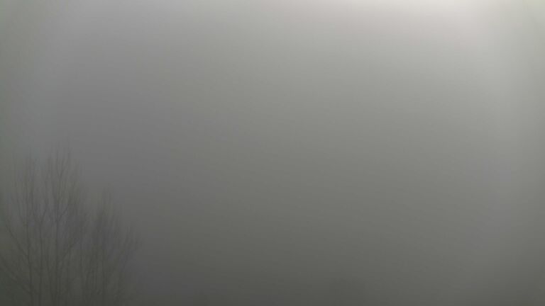 Dieses Bild zeigt eine Webcam-Aufnahme von Ottenhöfen, aufgenommen am Sonntag, den 21.12.2025 um 11:50 Uhr