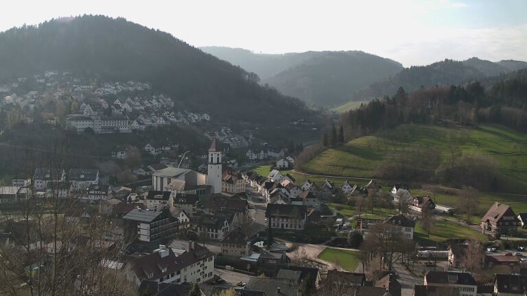 Dieses Bild zeigt eine Webcam-Aufnahme von Ottenhöfen, aufgenommen am Montag, den 23.03.2026 um 08:50 Uhr