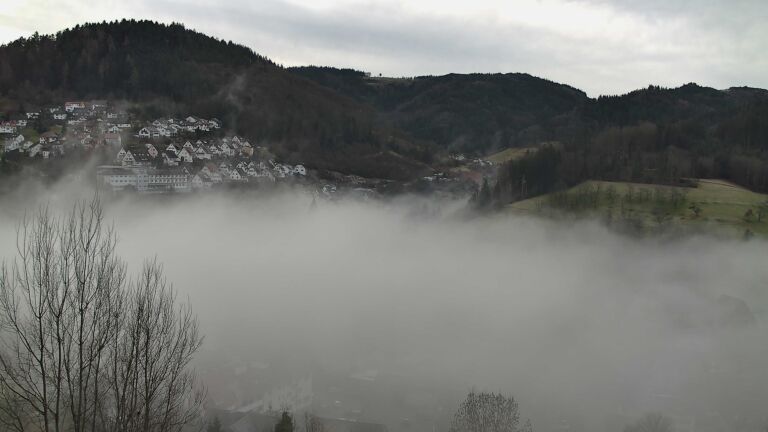 Dieses Bild zeigt eine Webcam-Aufnahme von Ottenhöfen, aufgenommen am Mittwoch, den 04.02.2026 um 09:20 Uhr