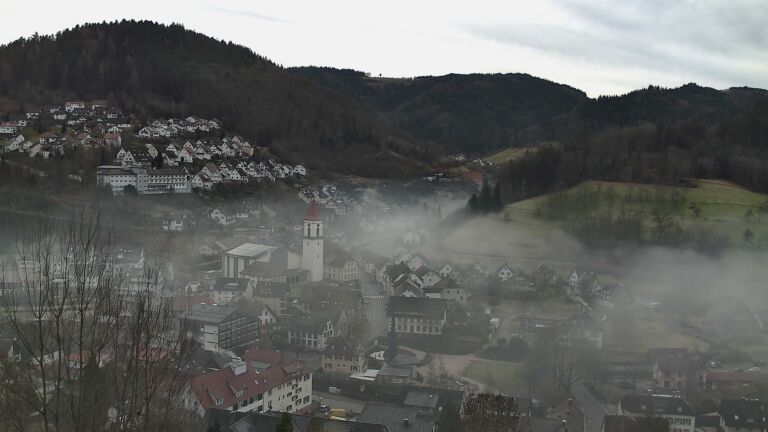 Dieses Bild zeigt eine Webcam-Aufnahme von Ottenhöfen, aufgenommen am Mittwoch, den 04.02.2026 um 09:50 Uhr