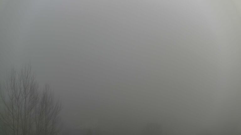 Dieses Bild zeigt eine Webcam-Aufnahme von Ottenhöfen, aufgenommen am Sonntag, den 21.12.2025 um 14:40 Uhr