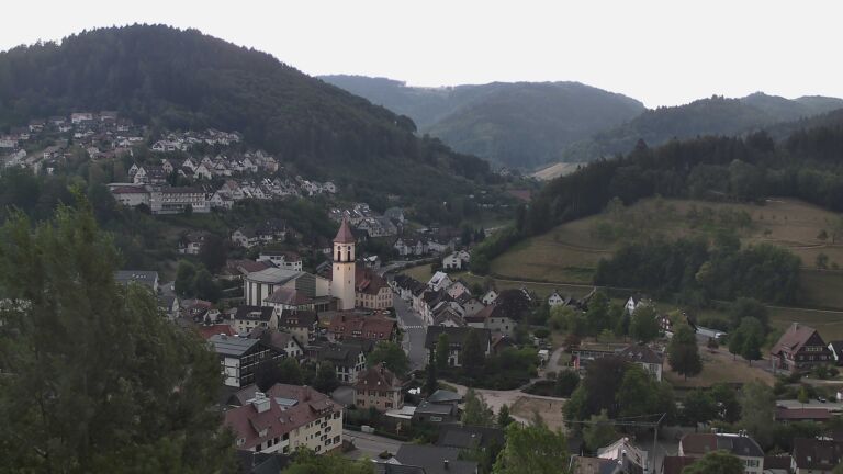 Dieses Bild zeigt eine Webcam-Aufnahme von Ottenhöfen, aufgenommen am Freitag, den 31.07.2026 um 20:10 Uhr