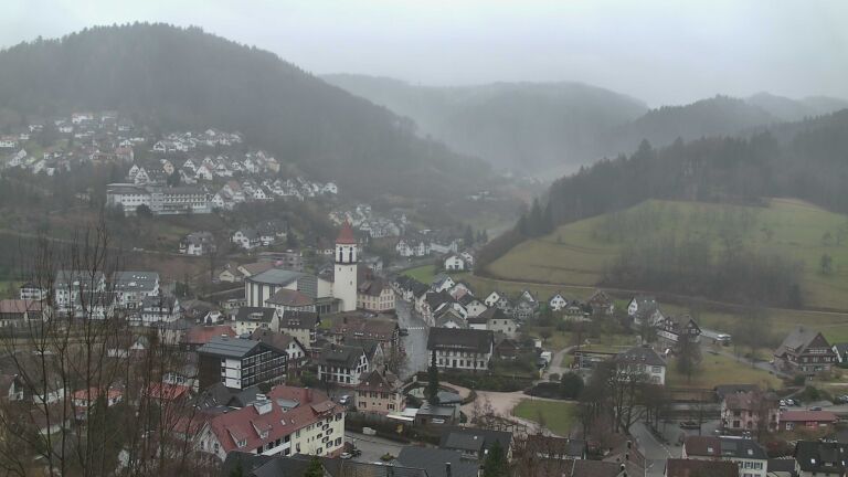 Dieses Bild zeigt eine Webcam-Aufnahme von Ottenhöfen, aufgenommen am Mittwoch, den 11.02.2026 um 08:50 Uhr