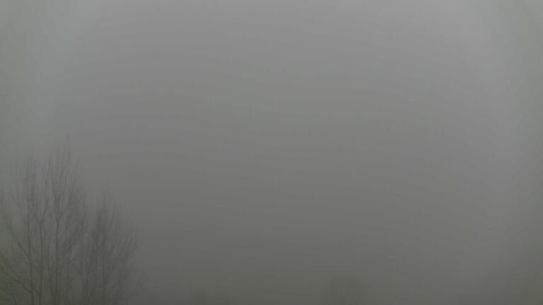 Dieses Bild zeigt eine Webcam-Aufnahme von Ottenhöfen, aufgenommen am Mittwoch, den 28.01.2026 um 12:30 Uhr