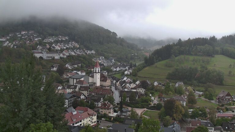 Dieses Bild zeigt eine Webcam-Aufnahme von Ottenhöfen, aufgenommen am Donnerstag, den 08.10.2026 um 11:50 Uhr