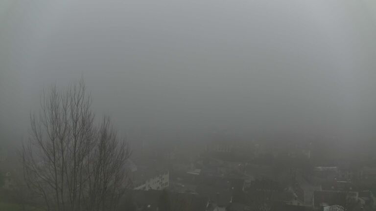 Dieses Bild zeigt eine Webcam-Aufnahme von Ottenhöfen, aufgenommen am Dienstag, den 16.12.2025 um 14:50 Uhr