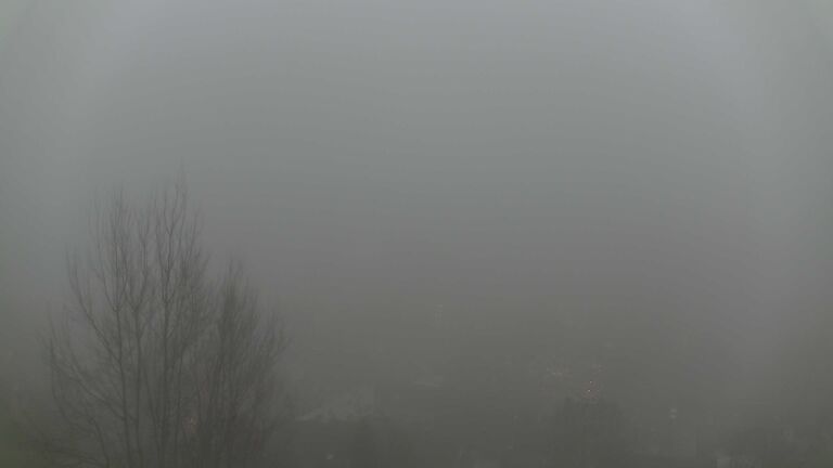 Dieses Bild zeigt eine Webcam-Aufnahme von Ottenhöfen, aufgenommen am Samstag, den 13.12.2025 um 16:30 Uhr