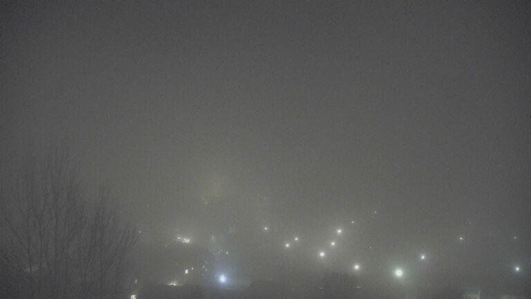 Dieses Bild zeigt eine Webcam-Aufnahme von Ottenhöfen, aufgenommen am Sonntag, den 08.02.2026 um 20:00 Uhr