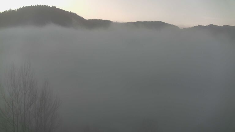 Dieses Bild zeigt eine Webcam-Aufnahme von Ottenhöfen, aufgenommen am Sonntag, den 28.12.2025 um 08:50 Uhr