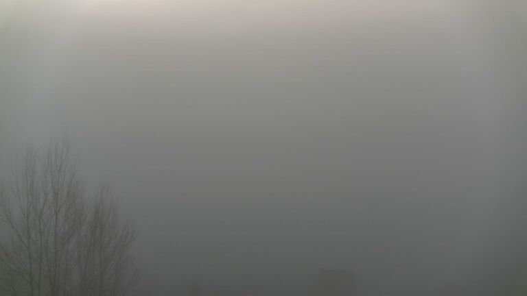 Dieses Bild zeigt eine Webcam-Aufnahme von Ottenhöfen, aufgenommen am Freitag, den 30.01.2026 um 08:50 Uhr