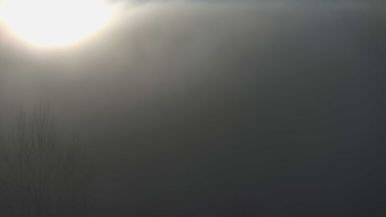 Dieses Bild zeigt eine Webcam-Aufnahme von Ottenhöfen, aufgenommen am Montag, den 29.12.2025 um 09:50 Uhr