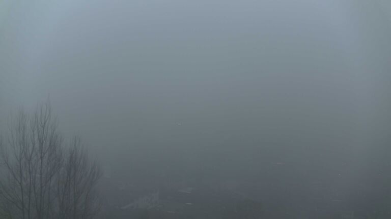 Dieses Bild zeigt eine Webcam-Aufnahme von Ottenhöfen, aufgenommen am Mittwoch, den 28.01.2026 um 17:00 Uhr