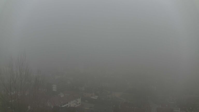 Dieses Bild zeigt eine Webcam-Aufnahme von Ottenhöfen, aufgenommen am Sonntag, den 08.02.2026 um 15:50 Uhr