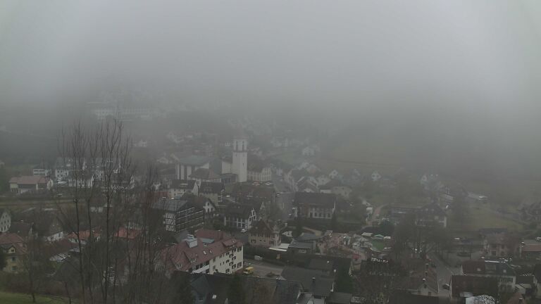 Dieses Bild zeigt eine Webcam-Aufnahme von Ottenhöfen, aufgenommen am Samstag, den 13.12.2025 um 12:20 Uhr