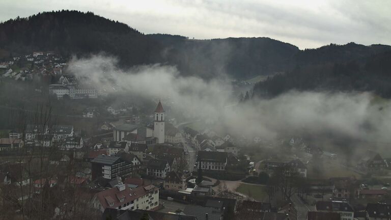 Dieses Bild zeigt eine Webcam-Aufnahme von Ottenhöfen, aufgenommen am Mittwoch, den 04.02.2026 um 11:50 Uhr