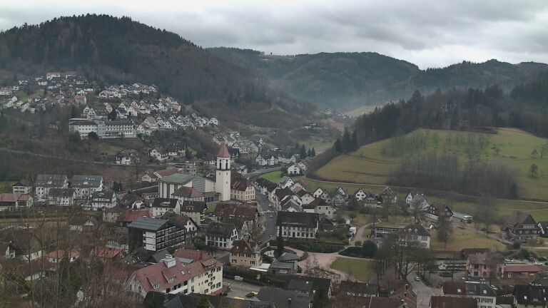 Dieses Bild zeigt eine Webcam-Aufnahme von Ottenhöfen, aufgenommen am Sonntag, den 01.02.2026 um 11:30 Uhr