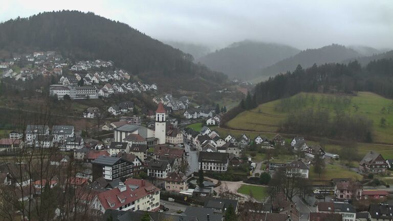 Dieses Bild zeigt eine Webcam-Aufnahme von Ottenhöfen, aufgenommen am Samstag, den 21.02.2026 um 12:50 Uhr