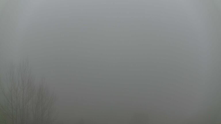 Dieses Bild zeigt eine Webcam-Aufnahme von Ottenhöfen, aufgenommen am Montag, den 22.12.2025 um 12:30 Uhr