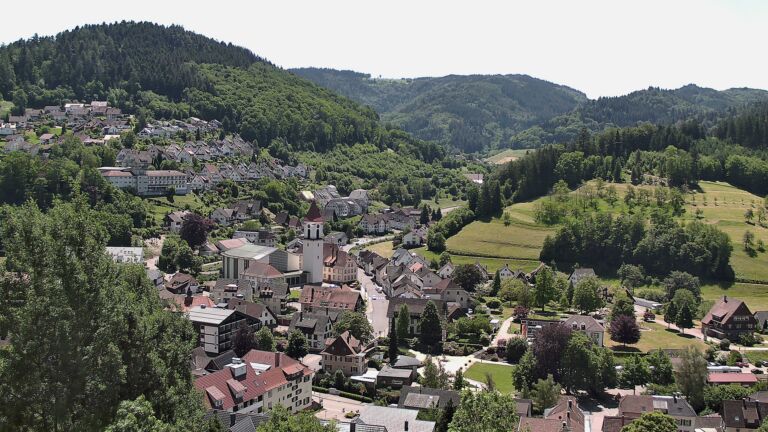 Dieses Bild zeigt eine Webcam-Aufnahme von Ottenhöfen, aufgenommen am Freitag, den 29.05.2026 um 12:50 Uhr