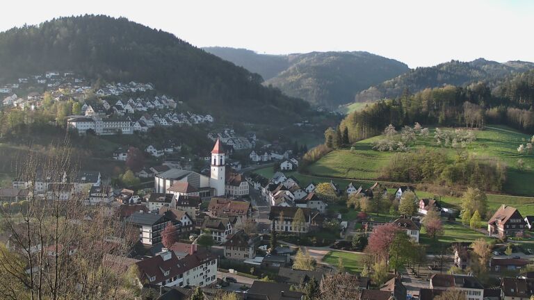 Dieses Bild zeigt eine Webcam-Aufnahme von Ottenhöfen, aufgenommen am Mittwoch, den 15.04.2026 um 08:00 Uhr