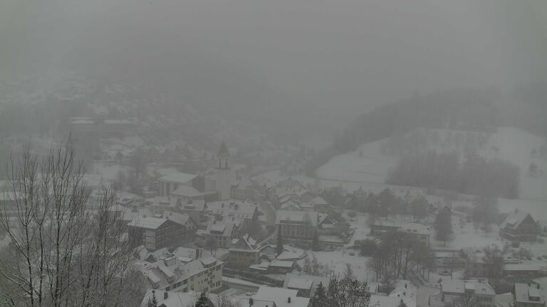 Dieses Bild zeigt eine Webcam-Aufnahme von Ottenhöfen, aufgenommen am Samstag, den 10.01.2026 um 14:50 Uhr