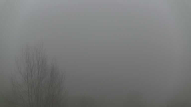 Dieses Bild zeigt eine Webcam-Aufnahme von Ottenhöfen, aufgenommen am Sonntag, den 14.12.2025 um 16:20 Uhr