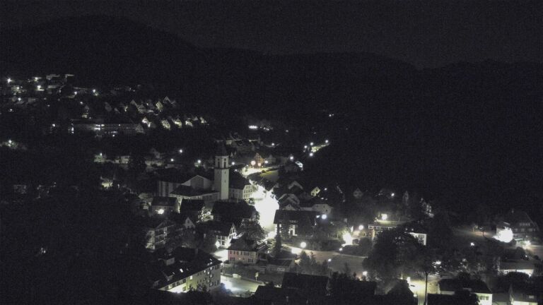 Dieses Bild zeigt eine Webcam-Aufnahme von Ottenhöfen, aufgenommen am Samstag, den 11.07.2026 um 02:30 Uhr