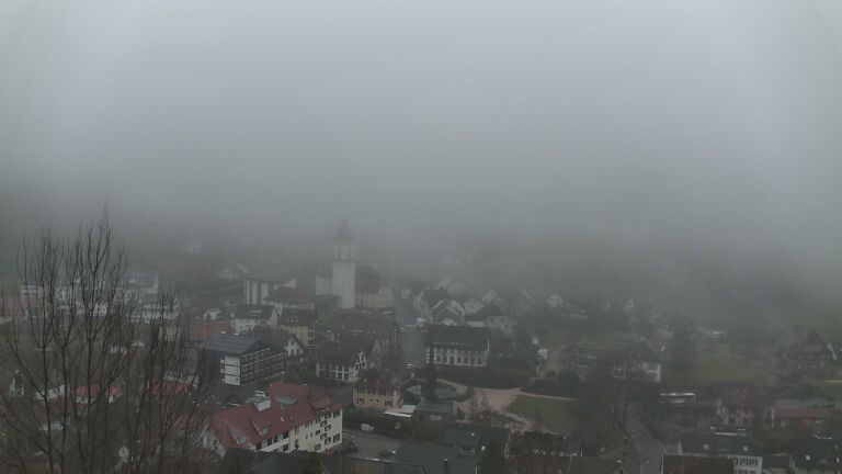 Dieses Bild zeigt eine Webcam-Aufnahme von Ottenhöfen, aufgenommen am Freitag, den 20.02.2026 um 07:40 Uhr