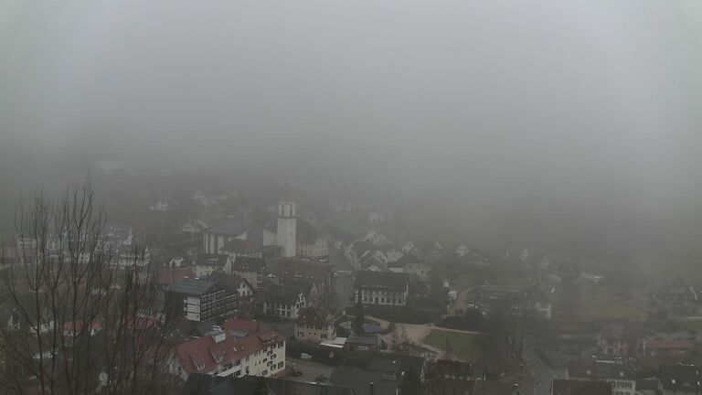 Dieses Bild zeigt eine Webcam-Aufnahme von Ottenhöfen, aufgenommen am Freitag, den 20.02.2026 um 09:30 Uhr