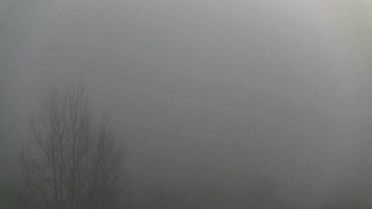 Dieses Bild zeigt eine Webcam-Aufnahme von Ottenhöfen, aufgenommen am Montag, den 15.12.2025 um 14:50 Uhr