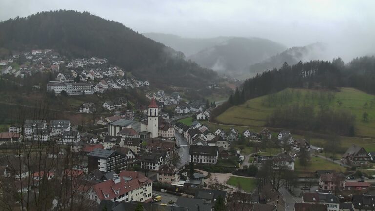 Dieses Bild zeigt eine Webcam-Aufnahme von Ottenhöfen, aufgenommen am Dienstag, den 24.02.2026 um 13:00 Uhr