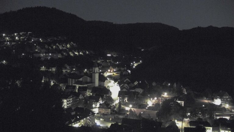 Dieses Bild zeigt eine Webcam-Aufnahme von Ottenhöfen, aufgenommen am Mittwoch, den 29.07.2026 um 04:30 Uhr