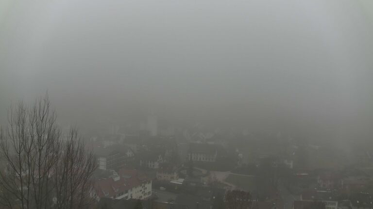 Dieses Bild zeigt eine Webcam-Aufnahme von Ottenhöfen, aufgenommen am Freitag, den 20.02.2026 um 08:50 Uhr