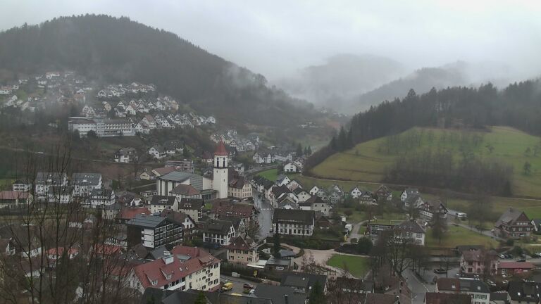 Dieses Bild zeigt eine Webcam-Aufnahme von Ottenhöfen, aufgenommen am Dienstag, den 24.02.2026 um 11:50 Uhr