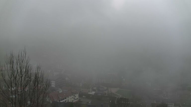 Dieses Bild zeigt eine Webcam-Aufnahme von Ottenhöfen, aufgenommen am Sonntag, den 29.03.2026 um 08:50 Uhr