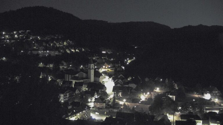 Dieses Bild zeigt eine Webcam-Aufnahme von Ottenhöfen, aufgenommen am Mittwoch, den 29.07.2026 um 04:00 Uhr