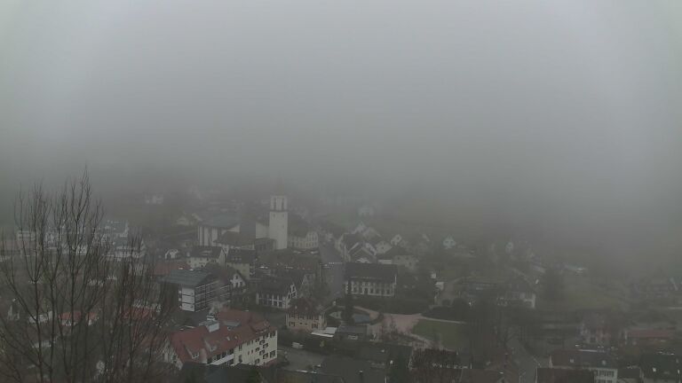 Dieses Bild zeigt eine Webcam-Aufnahme von Ottenhöfen, aufgenommen am Freitag, den 20.02.2026 um 09:00 Uhr