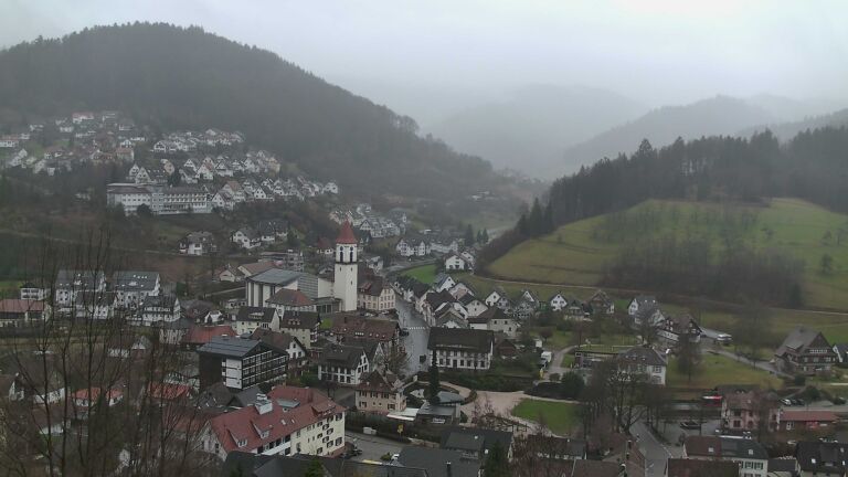 Dieses Bild zeigt eine Webcam-Aufnahme von Ottenhöfen, aufgenommen am Dienstag, den 24.02.2026 um 08:50 Uhr