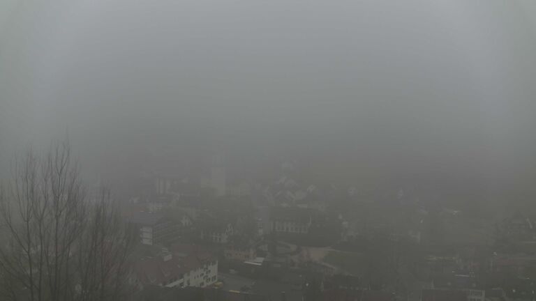 Dieses Bild zeigt eine Webcam-Aufnahme von Ottenhöfen, aufgenommen am Mittwoch, den 28.01.2026 um 16:10 Uhr