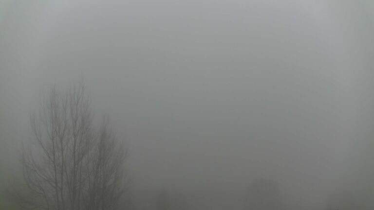 Dieses Bild zeigt eine Webcam-Aufnahme von Ottenhöfen, aufgenommen am Sonntag, den 14.12.2025 um 08:20 Uhr