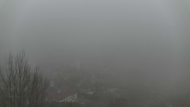 Dieses Bild zeigt eine Webcam-Aufnahme von Ottenhöfen, aufgenommen am Mittwoch, den 28.01.2026 um 16:00 Uhr