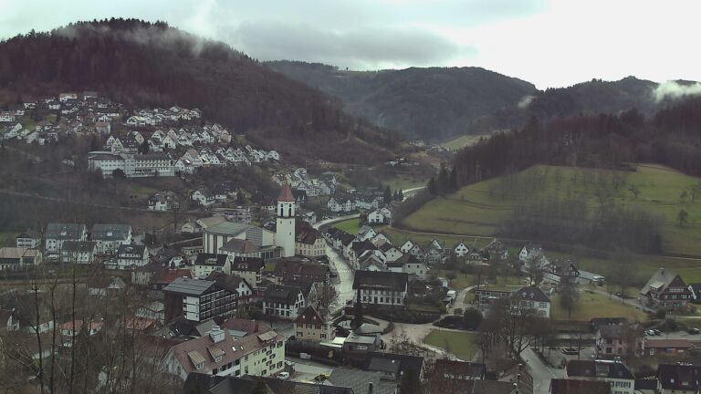 Dieses Bild zeigt eine Webcam-Aufnahme von Ottenhöfen, aufgenommen am Montag, den 02.02.2026 um 11:50 Uhr