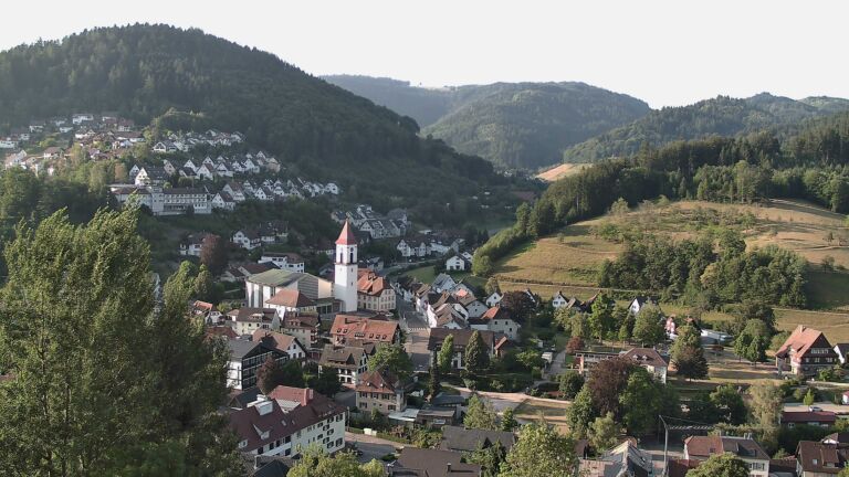 Dieses Bild zeigt eine Webcam-Aufnahme von Ottenhöfen, aufgenommen am Sonntag, den 02.08.2026 um 07:50 Uhr