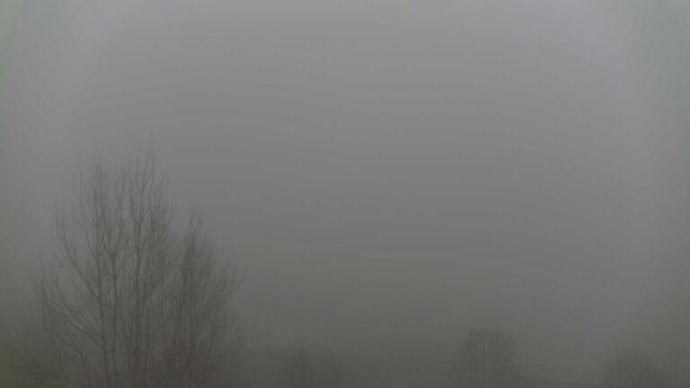 Dieses Bild zeigt eine Webcam-Aufnahme von Ottenhöfen, aufgenommen am Sonntag, den 14.12.2025 um 15:50 Uhr