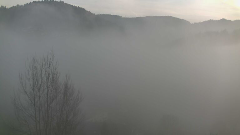 Dieses Bild zeigt eine Webcam-Aufnahme von Ottenhöfen, aufgenommen am Freitag, den 12.12.2025 um 15:50 Uhr